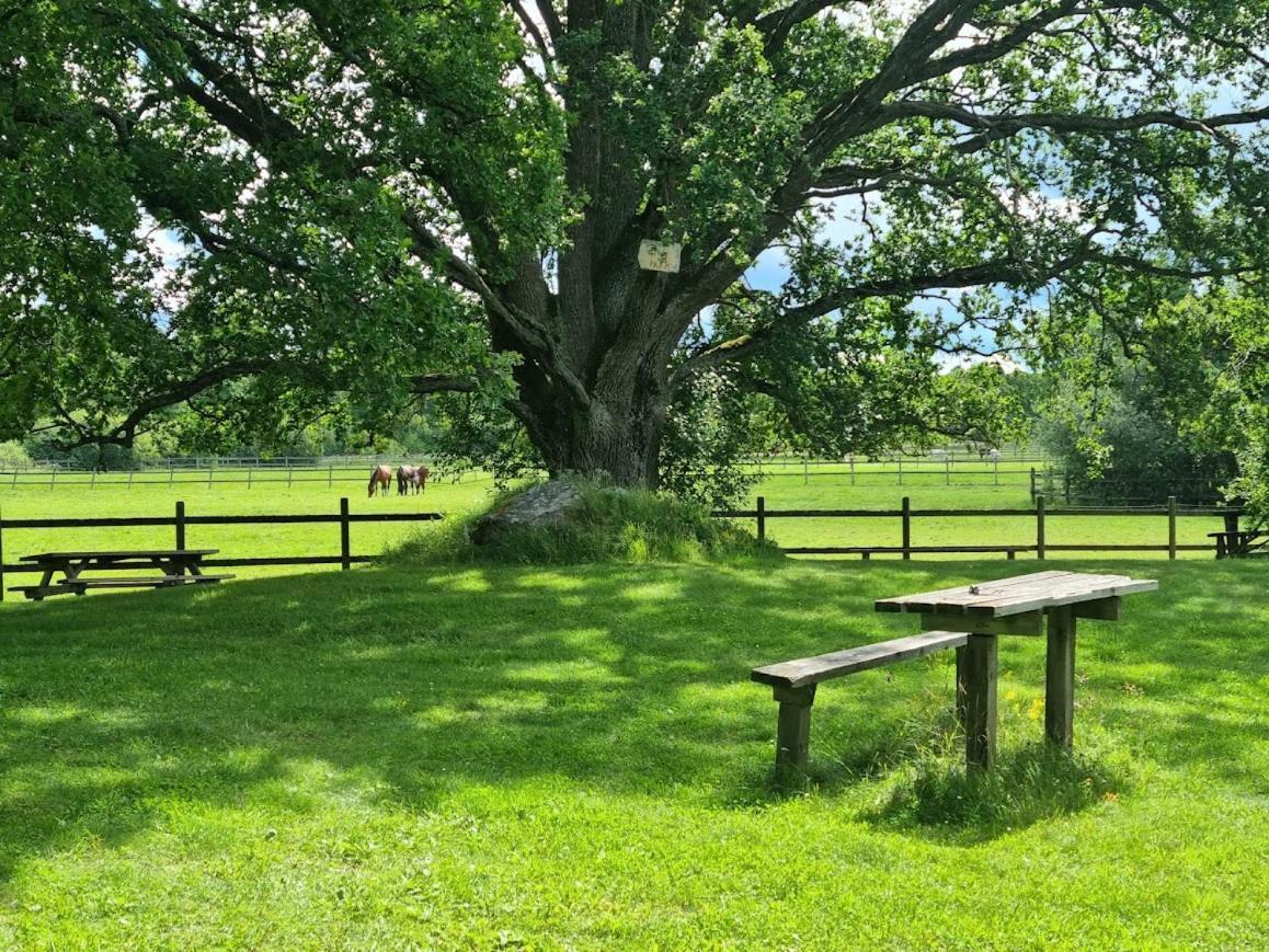 Thottska Villan Stromsholm ภายนอก รูปภาพ